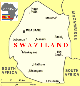 swaziland top car 4x4 exporter